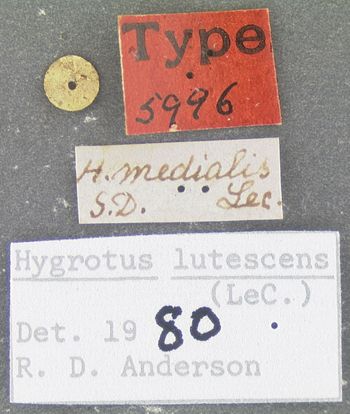 Media type: image;   Entomology 5996 Aspect: labels